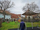 19_04_05_003_3_BauholzKran.jpg