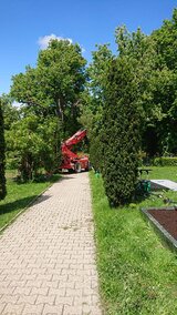 19_05_31_01.jpg